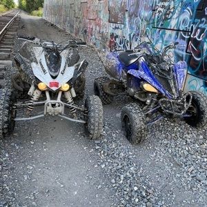 Meet your Posher, Carter